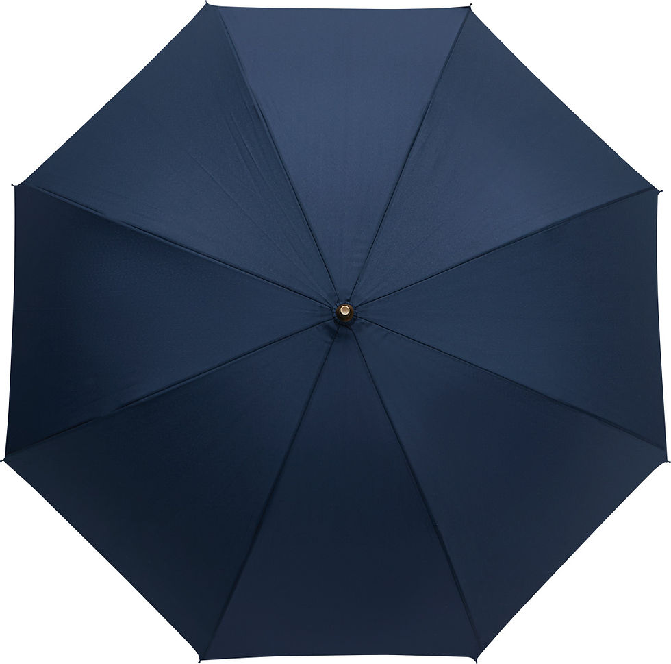 Miniature : PARAPLUIE POLKA