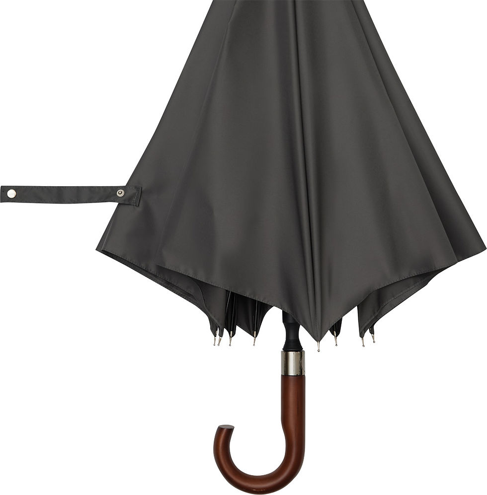 Miniature : PARAPLUIE EARL