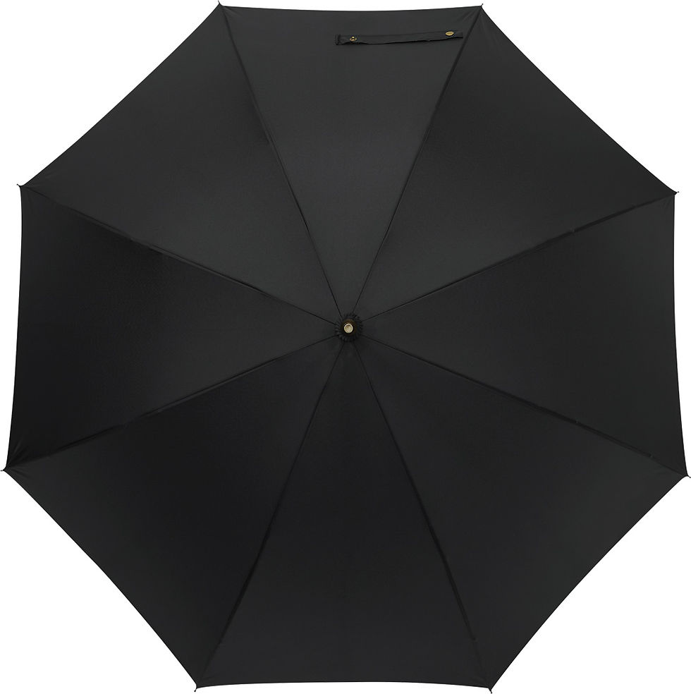 Miniature : PARAPLUIE POLKA