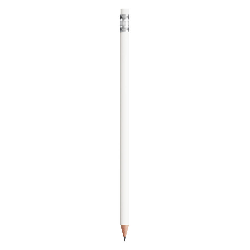 BIC EVOLUTION AVEC GOMME