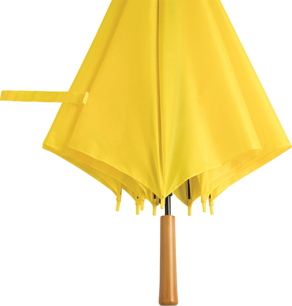 Miniature : PARAPLUIE LIMBO