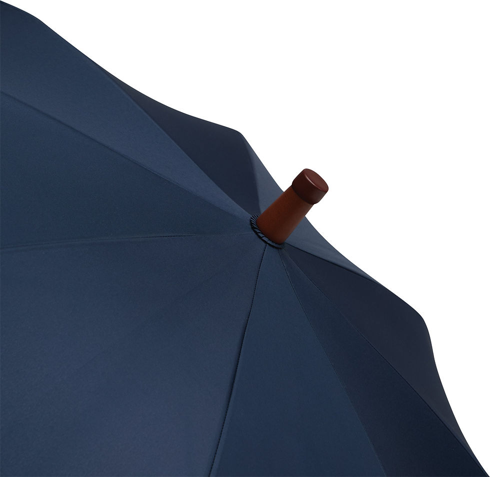 Miniature : PARAPLUIE EARL