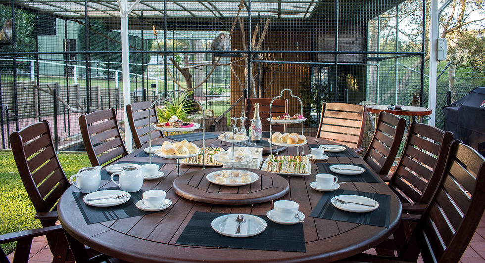 Tour and High Tea - North West Sydney
