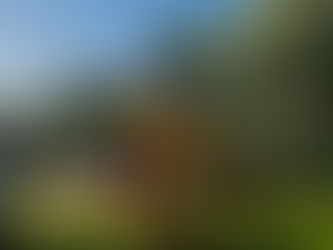 Who Let The Kids Online?!