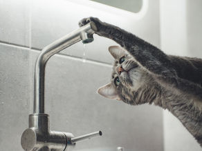 Strategise Like A Tap, Not Like A Hose