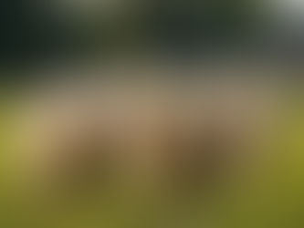 Debunking Client Stereotypes