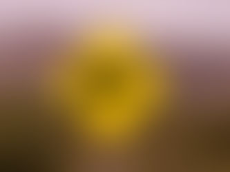 A Brand’s Identity Crisis