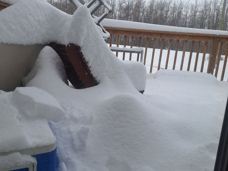 Spring on the Ranch: Hope, Renewal, and the Occasional Snowstorm