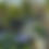 Thumbnail: Creeping Phlox 