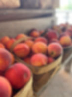 Thumbnail: Red Haven Peach Tree