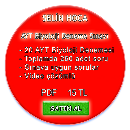 selin hoca 11 sinif biyoloji notlari