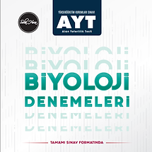 AYT DENEME.png
