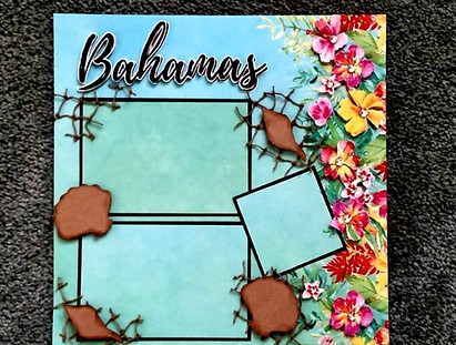 Bahamas good 6-2019 - Copy_edited.jpg