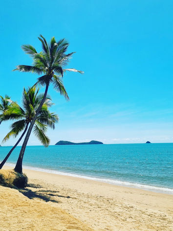 palm cover trinity beach airport transfers day tours Tropical North Queensland Port Douglas