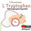 Miniaturbild: L Tryptophan