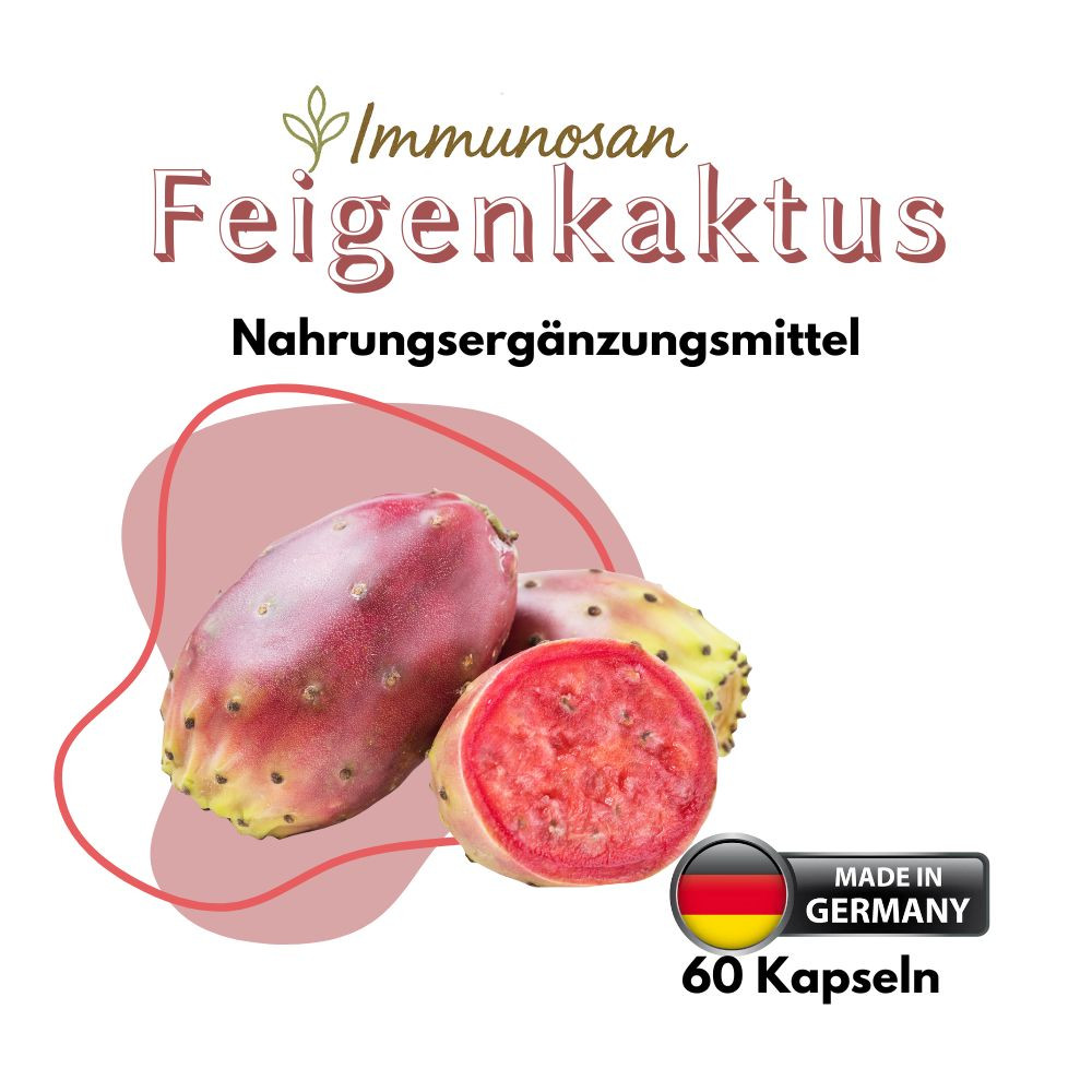 Feigenkaktus