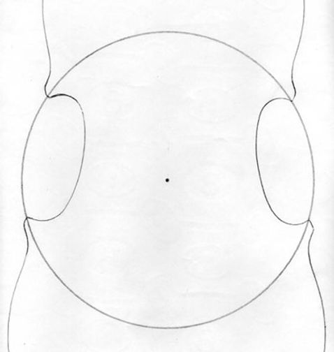 point G image cercle point.jpg