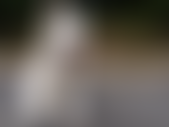 IL RIENTRO DALLE VACANZE CON IL CANE