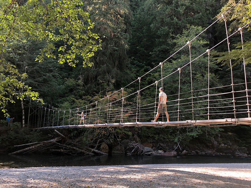 Grove Of The Patriarchs Mount Rainier National Park With Kids
