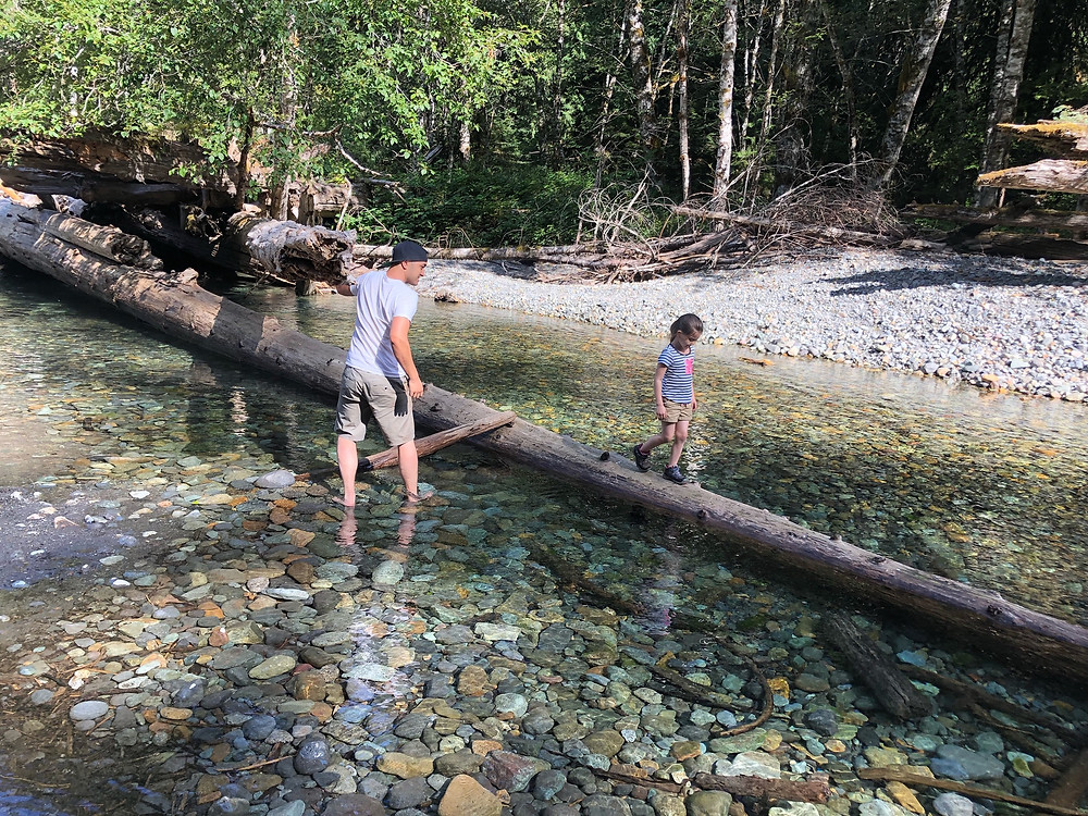 Grove of the Patriarchs-PNW Kids
