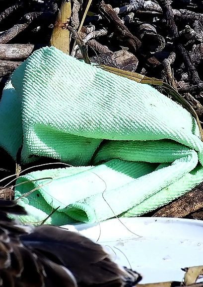 the green rag and the plastic lid.jpg