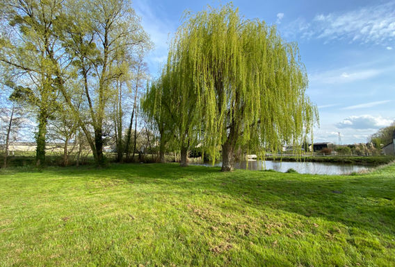 espaces verts (1).jpg