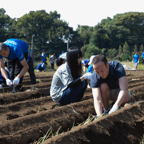 Organic Farming Project