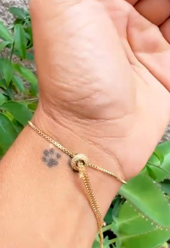 Miniatura: PULSEIRA GROOMER PATINHA AJUSTE GRAVATINHA