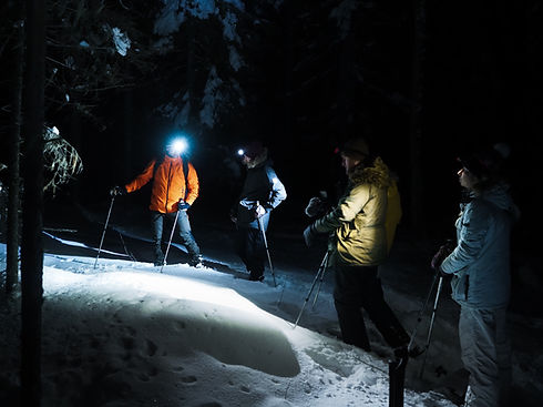 Snowshoe.jpg