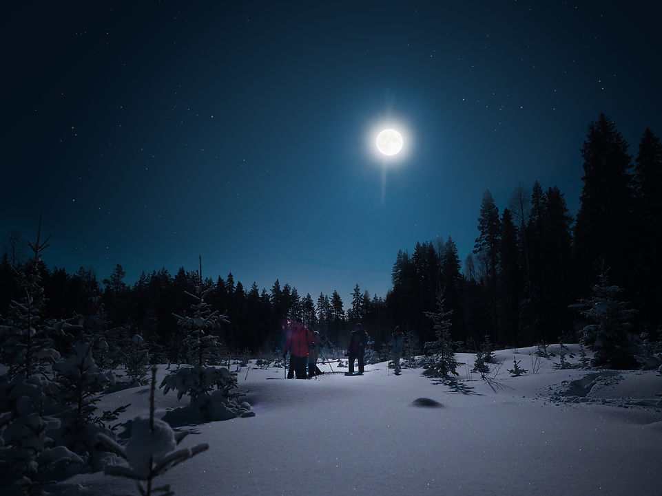 SnowshoeMoonlightliggande.jpg