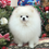 Thumbnail: Pomeranian