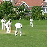 Friends Playing Cricket