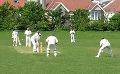 Friends Playing Cricket