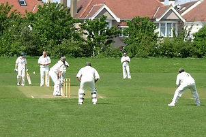 Friends Playing Cricket