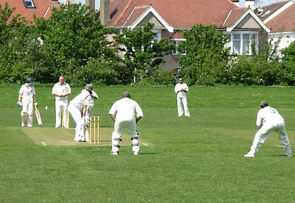 Friends Playing Cricket