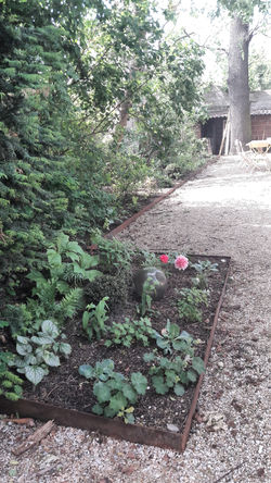 Massif de pied d'arbres