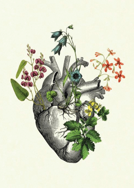 Lupus and other things...