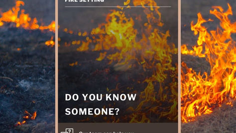 Firesetter Intervention Scheme