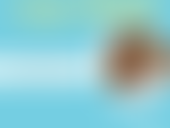 Employee Spotlight- Kristen Connell