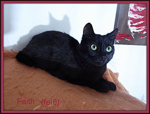 Faith_LB_0
