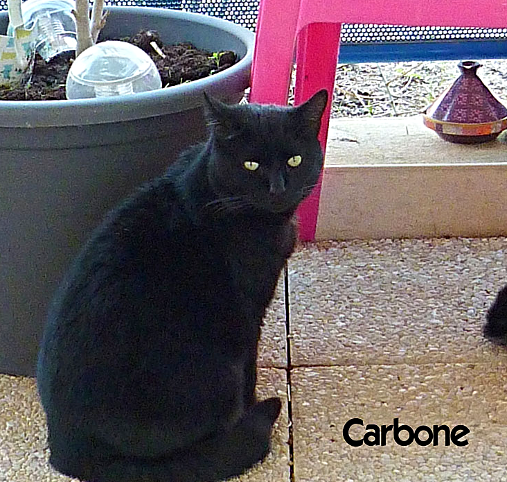 Carbone_AB_LB_3_edited
