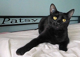 Patsy_LB_0_edited