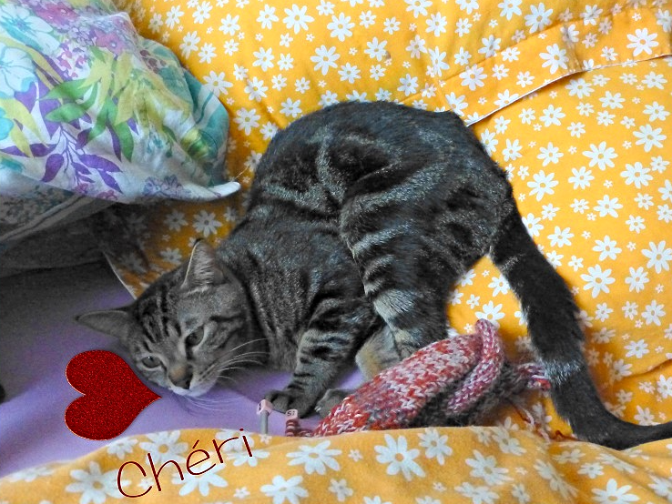 Cheri_LB_3_edited