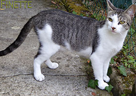 Finette_LB_0_edited