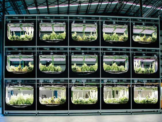 Sprout AI’s cultivation technology is contained within a sealed “habitat”