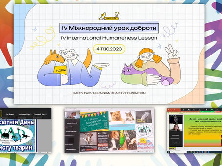 IV Міжнародний урок доброти