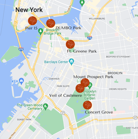co teaching in the park map with labels