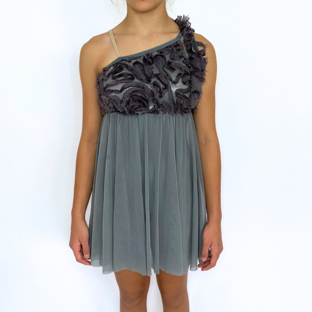 Grey Lyrical Dress- Adult Small