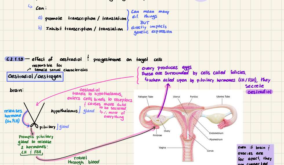 Diagram of hormone receptors and level of organization in cells.