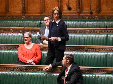 Pam Cox MP for Colchester in the House of Commons